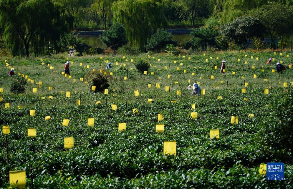 易游pt客户端下载